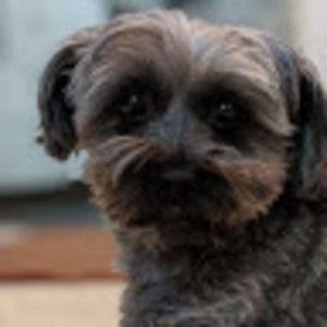 Meet your Posher, Travis